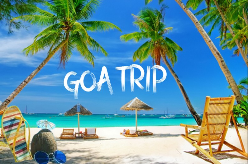 Candolim Beach, Baga Beach, Calangute Beach, Colva Beach, Palolem Beach, Morjim Beach, Anjuna Beach, Agonda Beach, Ashwem Beach, Benaulim Beach.